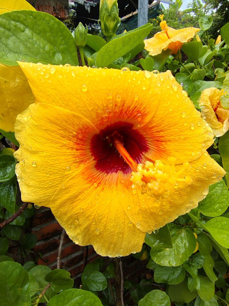 img_20250824_112210663_hdr1045055965094440404