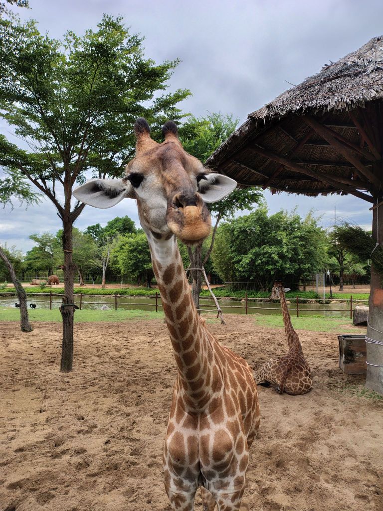 img_20250825_114754972_hdr3385043173642330147